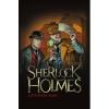 Tanarul Sherlock Holmes. Lipitoarea rosie. Vol. 2