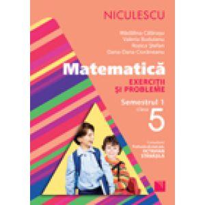 Matematica. Exercitii si probleme pentru clasa a V-a, semestrul I