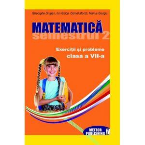 Matematica. Exercitii si probleme. Clasa a VII-a, semestrul II 2012-2013