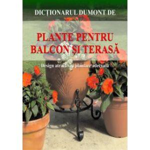 Plante pentru balcon si terasa