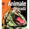 Animale de prada