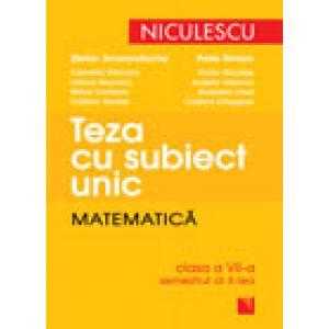 Teza cu subiect unic. Matematica. Clasa a VII-a, semestrul al II-lea