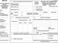 Formular foaie de parcurs autovehicule persoane A4, fata/verso, 3 carnete a 100