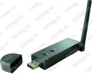 110450 - DVR USB 2.0, pentru camere fara fir, 4 canale