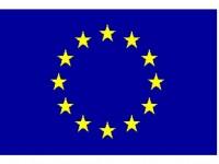 Steag Uniunea Europeana dim. 120x70 cm