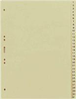 Separatoare carton Elba, 297x230 mm, index 1-31, chamoix