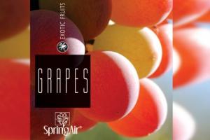 Grapes odorizant camera Spring Air