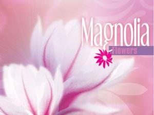 Rezerva odorizant camera Magnolia