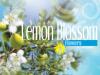 Lemon blossom odorizant camera spring air