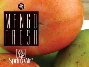 Mango Fresh odorizant camera Spring Air