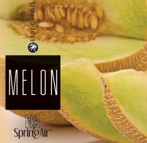 Melon odorizant camera Spring Air
