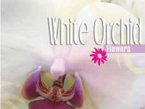 Rezerva odorizant White Orchid