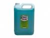 Detergent sanitar dezinfectant 5 l