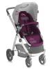 Carucior bertoni evo pink-violet flowers er2123