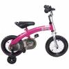 Bicicleta multifunctionala Sun Baby PONY Roz KC3675