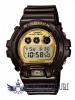 Casio G-Shock DW-6900BR-5ER, ceas barbatesc