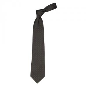 Cravata Spots Albastra
