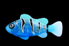 Led robofish - pestisor albastru cu led