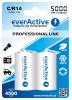 2x r14 c 5000mah rechargeables everactive