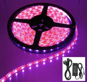 5M Pink Strip 60LED/M IP20 White PCB Complete AL080-C