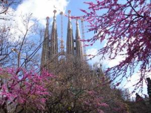 Pensiune turistica barcelona