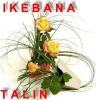SC Ikebana-Talin SRL