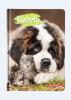 Agenda HERLITZ nedatata Sweety A6, 352 pagini, coperta tare, motiv Saint Bernard