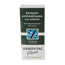 Sampon antimatreata cu ihtiol, Gerovital Plant Tratament, 125 ml