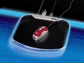 Mouse pad cu Hub USB Reekin