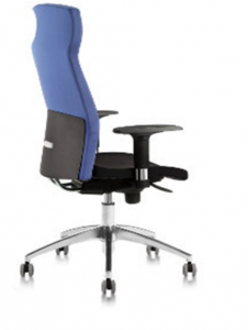Scaune scaune ergonomice