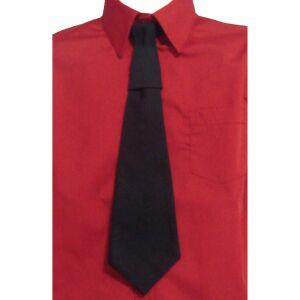 Cravata din tercot  [MS DSP4007]