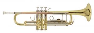 Trompeta Bach TR-501