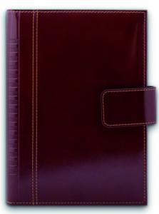 B105648 Agenda lux Pianeta