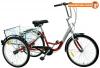 Dhs tricicleta pentru adulti daily 3 wheeler