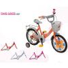 Dhs bicicleta 1602 1v kids