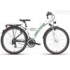 Gepida biciclete berig 300/21