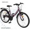 Dhs biciclete  kreativ 2014 model 2011