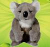 Smarttoys pui de koala