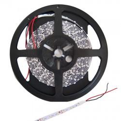 BANDA LED 12V 24W 300 LEDURI 5M ALB RECE(LED3528-60CW)