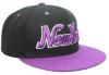 New york bk / pur snapback plat cap classic font