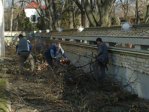 Decopertare manuala pamant / resturi vegetale si grupare in movile pentru incarcarea in camioanele / masinile de transport