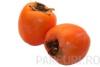 Pomi fructiferi exotici, Kaki (curmal japonez) (Diospyros virginiana) la ghiveci