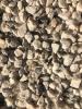 Pietris decorativ crem (8-20 mm) Piatra ornamentala concasata - saci 40 kg