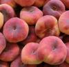 Piersic soiul platicarpa pomi fructiferi la ghiveci 1/2f ghiveci 15