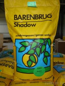 Seminte Gazon Barenbrug Green Grass Shadow, sac 25kg