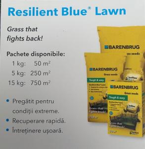 Seminte gazon Barenbrug Resilient Blue - recuperare rapida, 5 kg