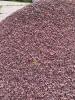 Pietris decorativ rosu (8-20 mm) piatra ornamentala concasata -