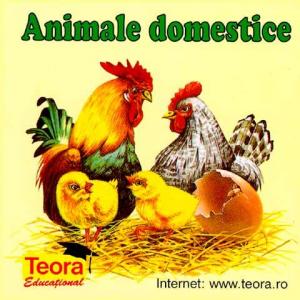 ANIMALE DOMESTICE - CARTONAT