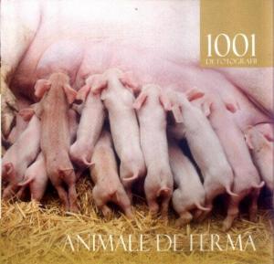 ANIMALE DE LA FERMA. 1001 DE FOTOGRAFII