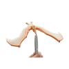Incredibilul pteranodon, brainstorm toys, 4 ani